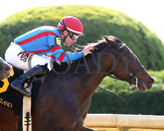 Long Neck Paula - The Bowman Mill 10-26-24 R06 Kee Finish 03 Keeneland