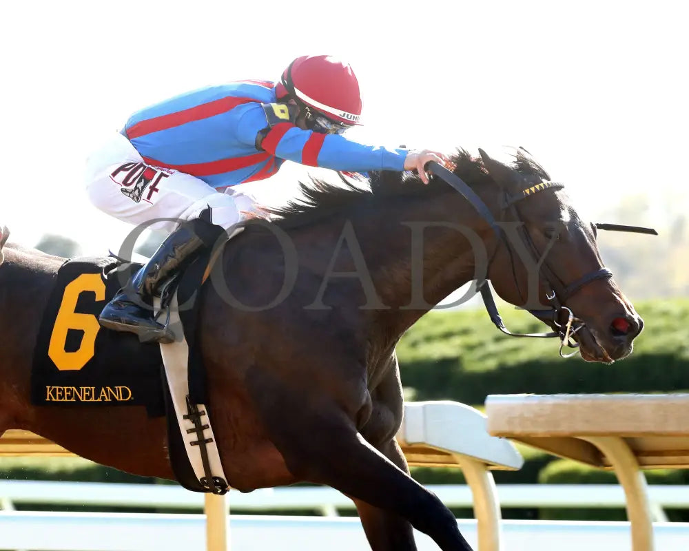 Long Neck Paula - The Bowman Mill 10-26-24 R06 Kee Finish 04 Keeneland
