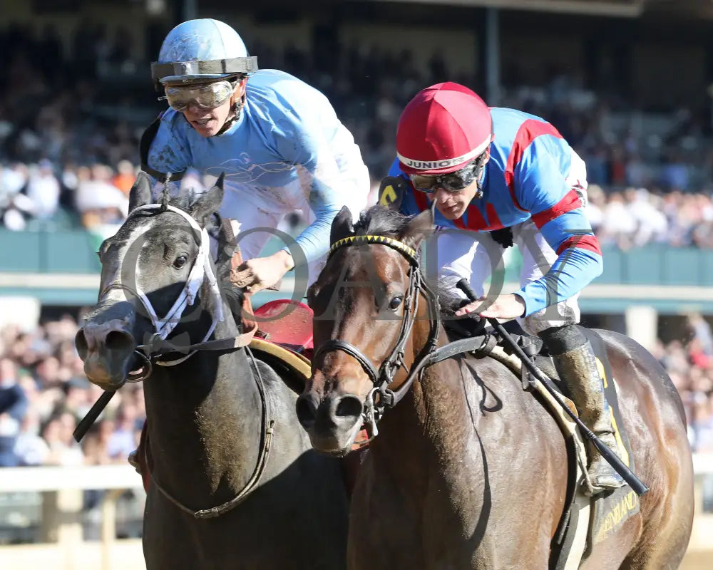 Long Neck Paula - The Bowman Mill 10-26-24 R06 Kee Inside Finish 01 Keeneland