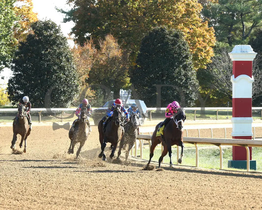Long Neck Paula - The Bowman Mill 10-26-24 R06 Kee Turn 01 Keeneland