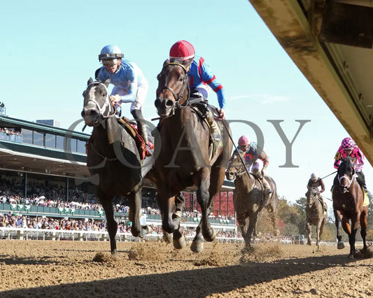 Long Neck Paula - The Bowman Mill 10-26-24 R06 Kee Under Rail 01 Keeneland