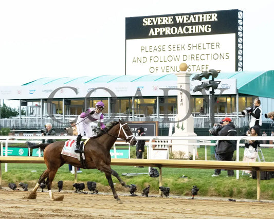 LOOK FORWARD - The Eight Belles G2 - 70th Running - 05-02-25 - R09 - CD - Approaching Storm 03 Churchill Downs