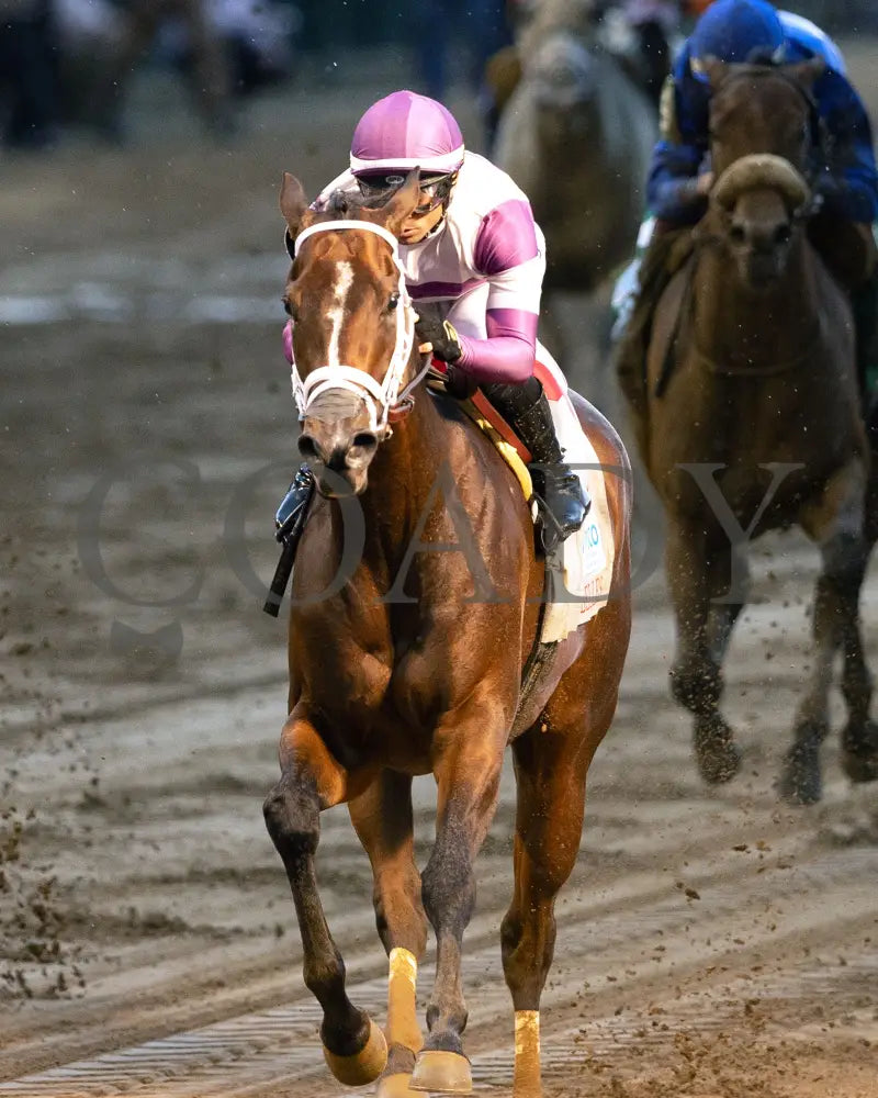 LOOK FORWARD - The Eight Belles G2 - 70th Running - 05-02-25 - R09 - CD - Inside Finish 01 Churchill Downs