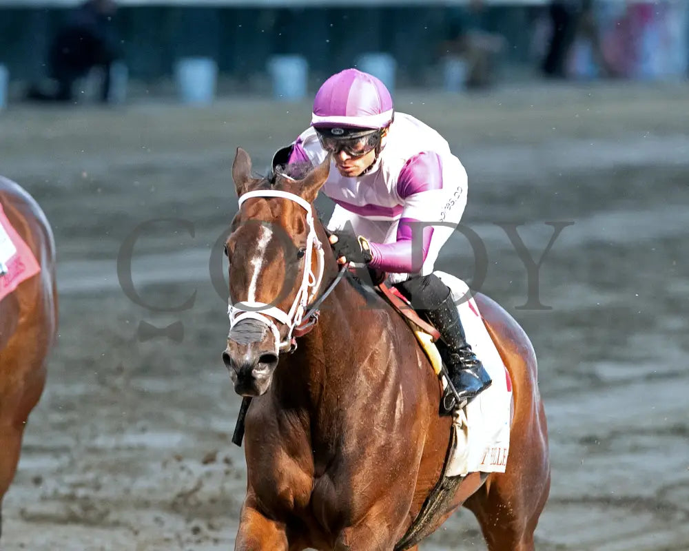 LOOK FORWARD - The Eight Belles G2 - 70th Running - 05-02-25 - R09 - CD - Inside Finish 02 Churchill Downs