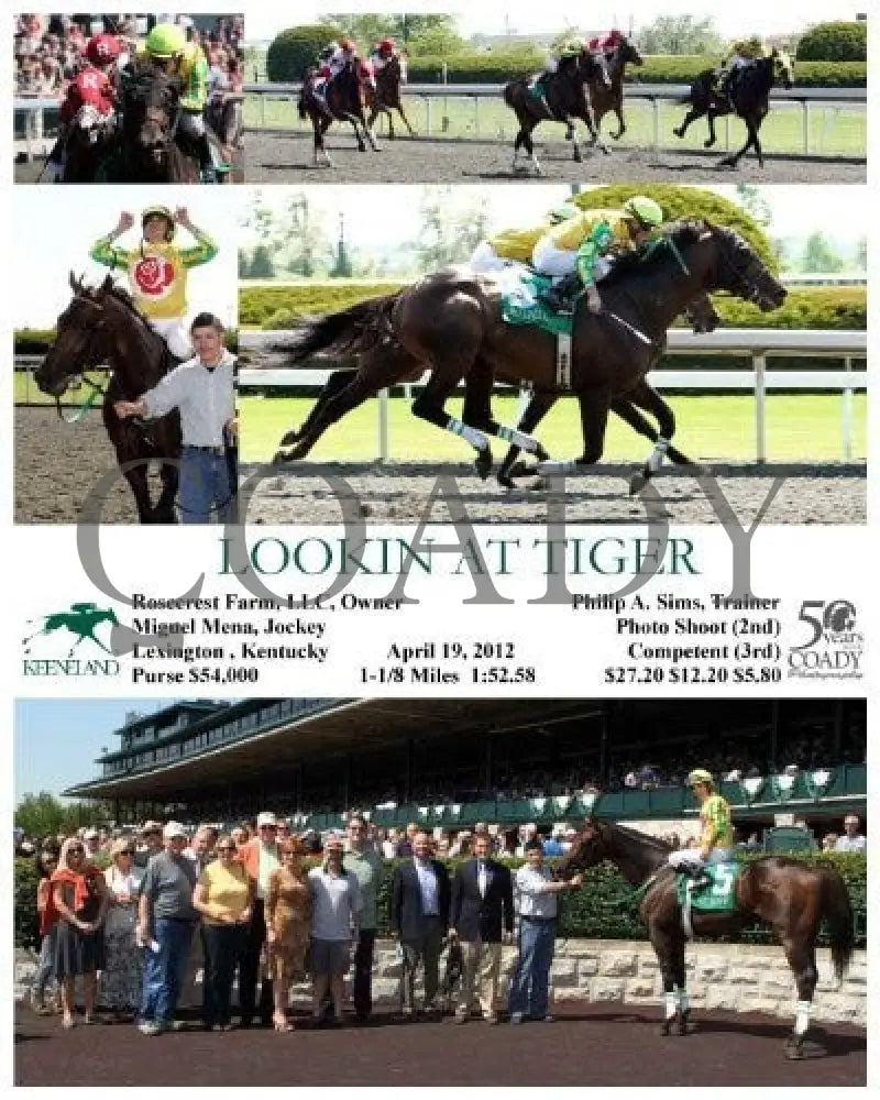 Lookin At Tiger - 041912 Race 05 Keeneland