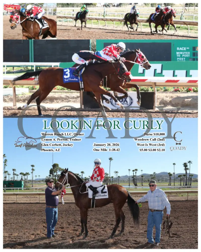 LOOKIN FOR CURLY - 01-20-26 - R02 - TUP - Coady Media - Kurtis Coady Photography