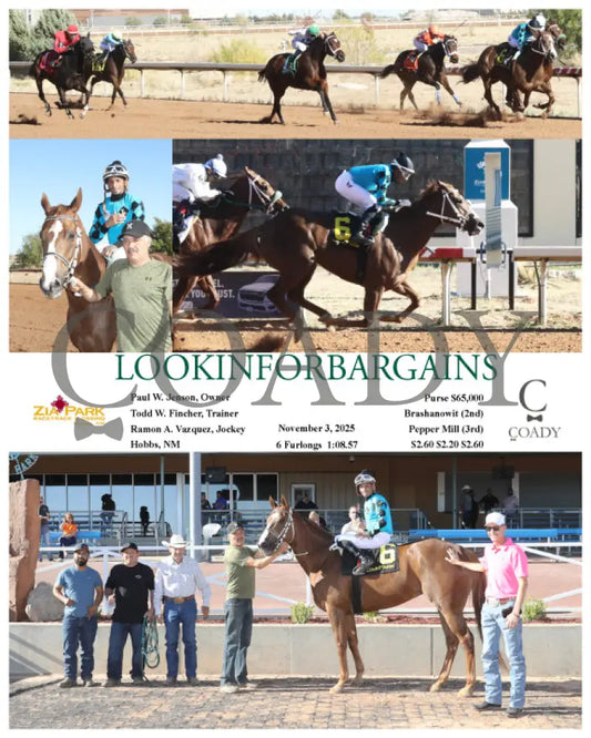 LOOKINFORBARGAINS - 11-03-25 - R06 - ZIA Zia Park