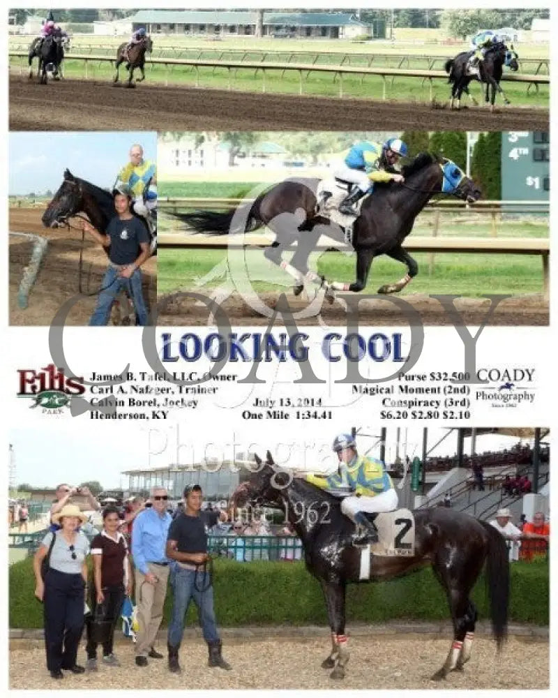 Looking Cool - 071314 Race 08 Elp Ellis Park