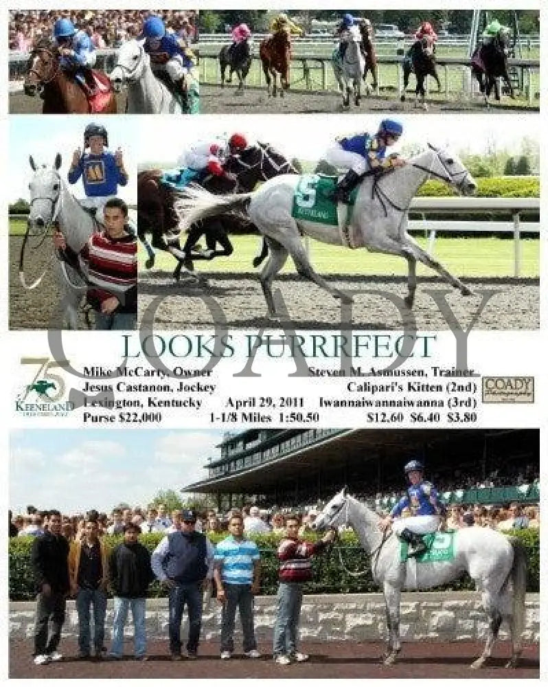 Looks Purrrfect - 042911 Race 05 Keeneland
