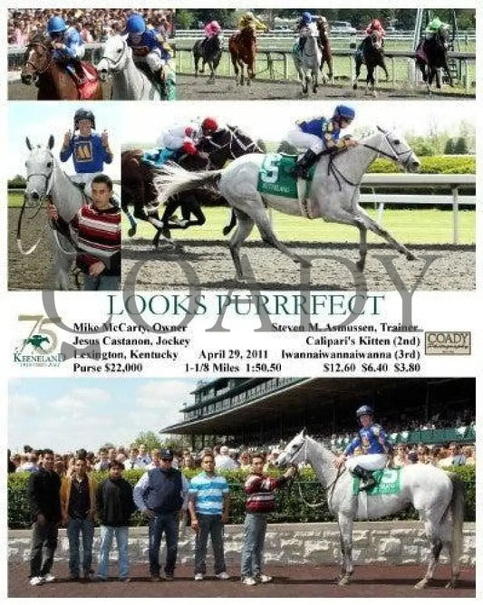 Looks Purrrfect - 042911 Race 05 Keeneland