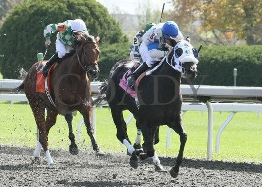 Looky Here - 1 101411 Race 02 Keeneland