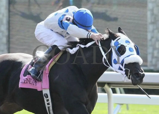 Looky Here - 2 101411 Race 02 Keeneland