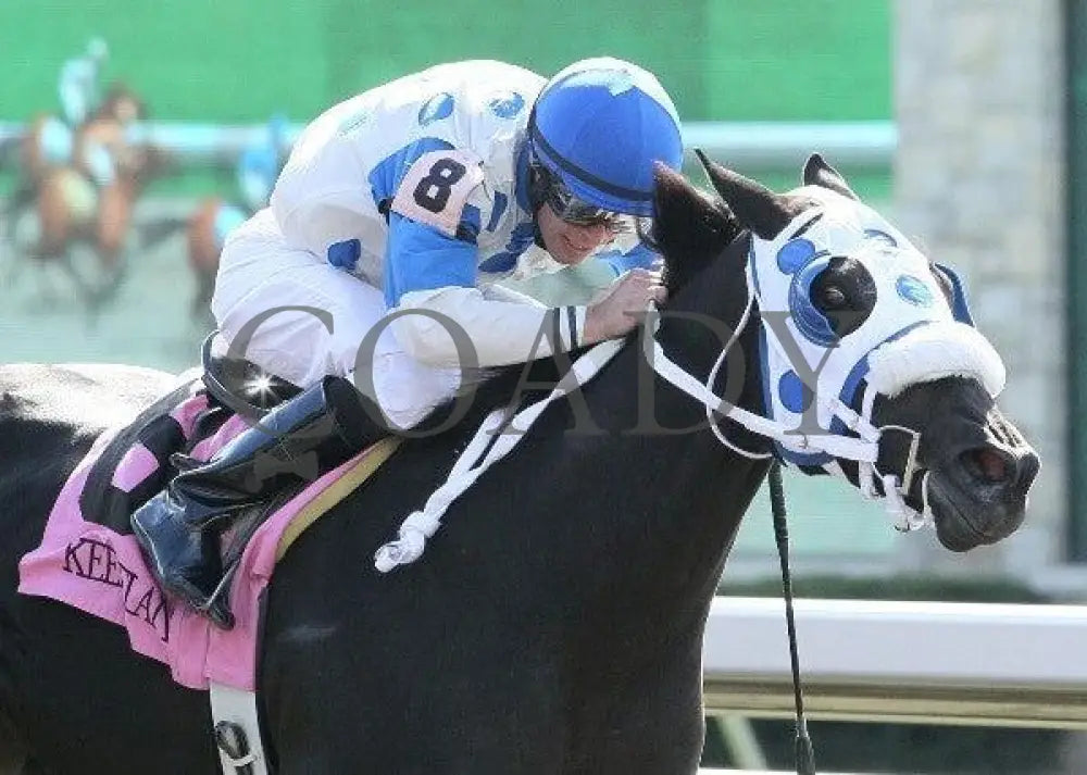 Looky Here - 3 101411 Race 02 Keeneland