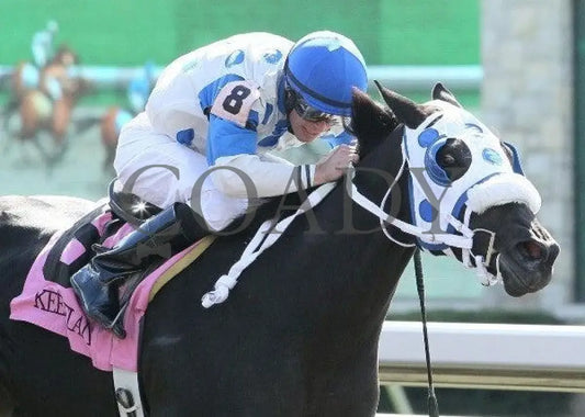 Looky Here - 3 101411 Race 02 Keeneland