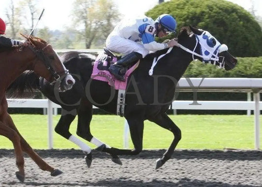 Looky Here - 5 101411 Race 02 Keeneland