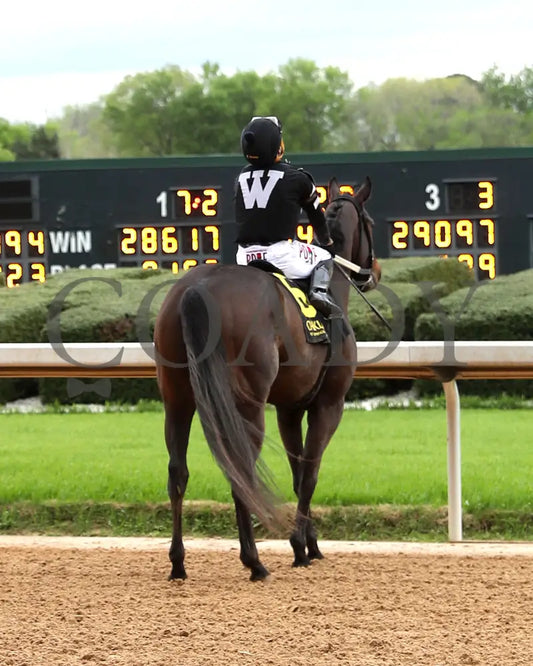 LORD OF RHYMES - 04-06-25 - R12 - OP - Comeback 01 Oaklawn Park