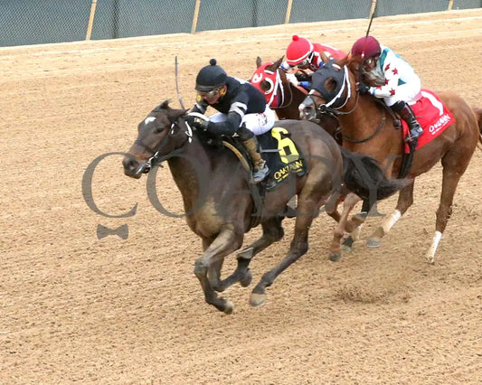 LORD OF RHYMES - 04-06-25 - R12 - OP - Inside Finish 01 Oaklawn Park