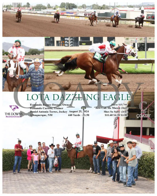 Lota Dazzling Eagle - 08-25-24 R02 Alb Downs At Albuquerque
