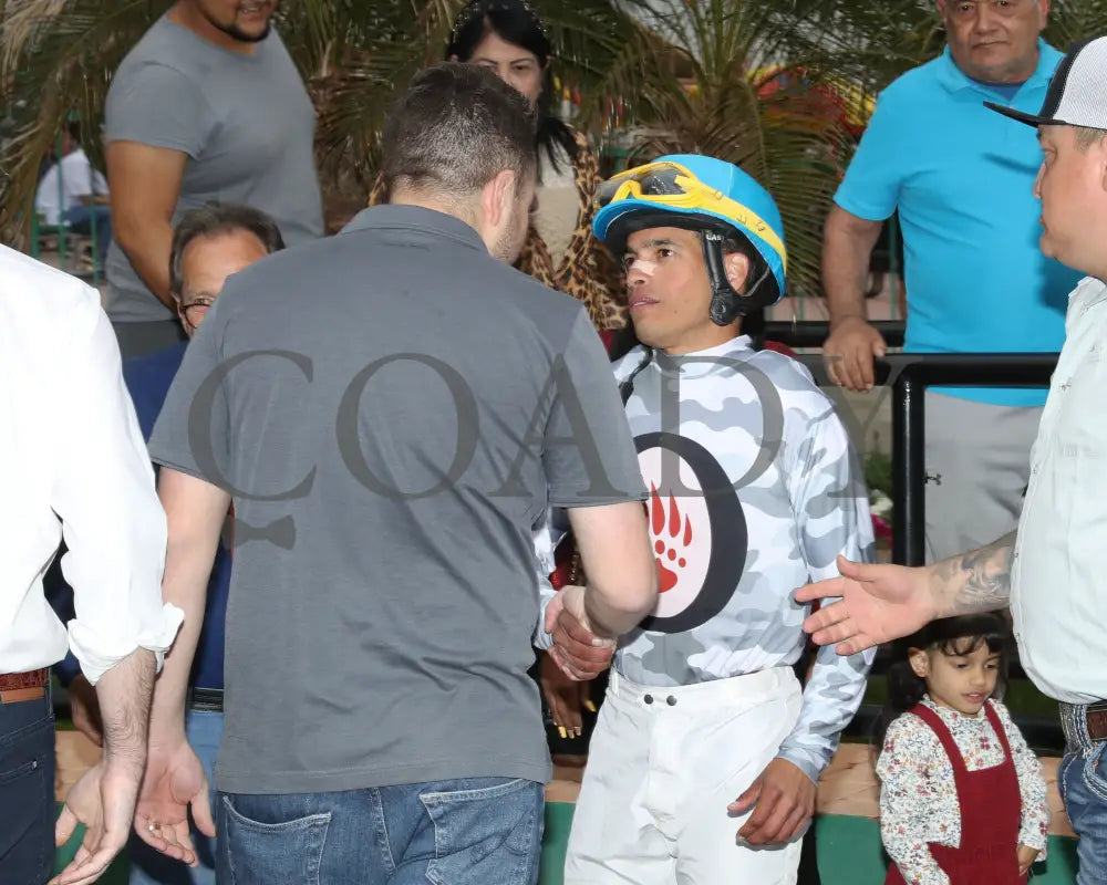 Love My Jimmy - Phoenix Gold Cup 03 - 14 - 24 R08 Turf Paradise 002