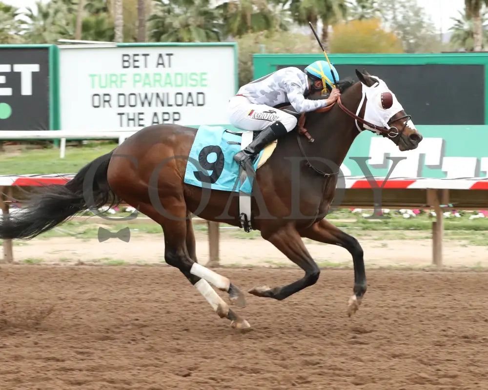 Love My Jimmy - Phoenix Gold Cup 03 - 14 - 24 R08 Turf Paradise Finish