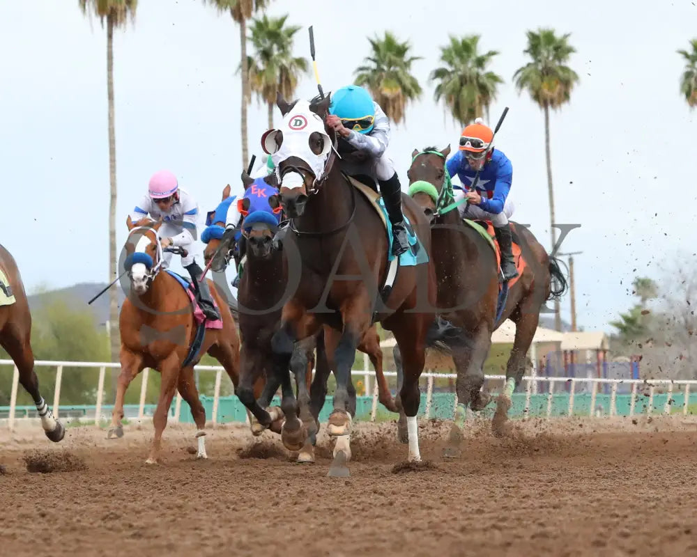 Love My Jimmy - Phoenix Gold Cup 03 - 14 - 24 R08 Turf Paradise Under Rail
