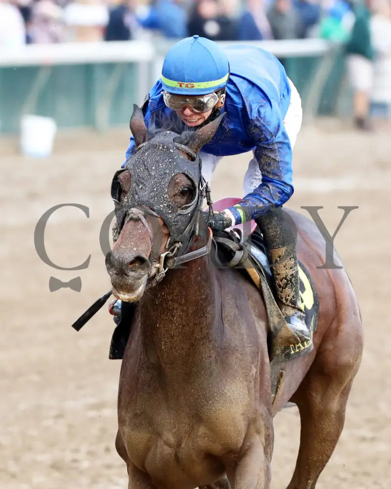 Loved - The Falls City G3 109Th Running 11-28-24 R09 Cd Inside Finish 01 Churchill Downs