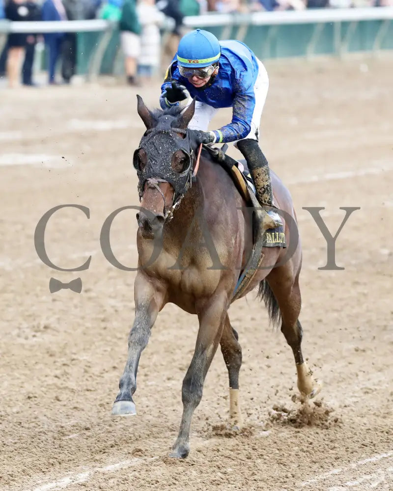 Loved - The Falls City G3 109Th Running 11-28-24 R09 Cd Inside Finish 02 Churchill Downs