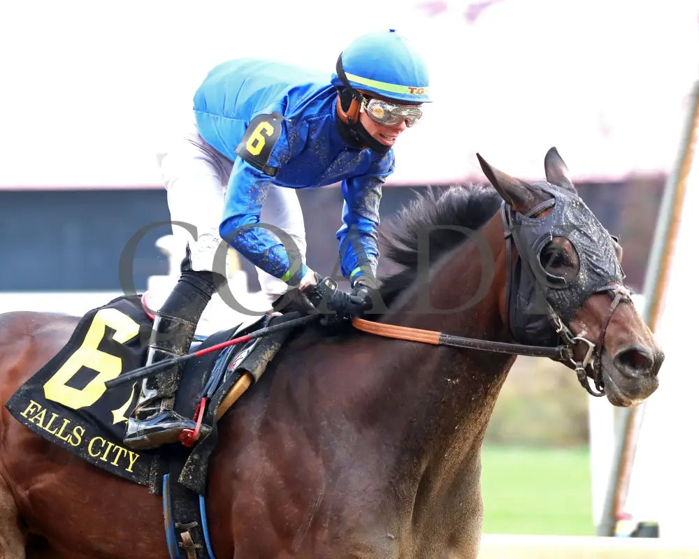 Loved - The Falls City G3 109Th Running 11-28-24 R09 Cd Tight Finish 01 Churchill Downs