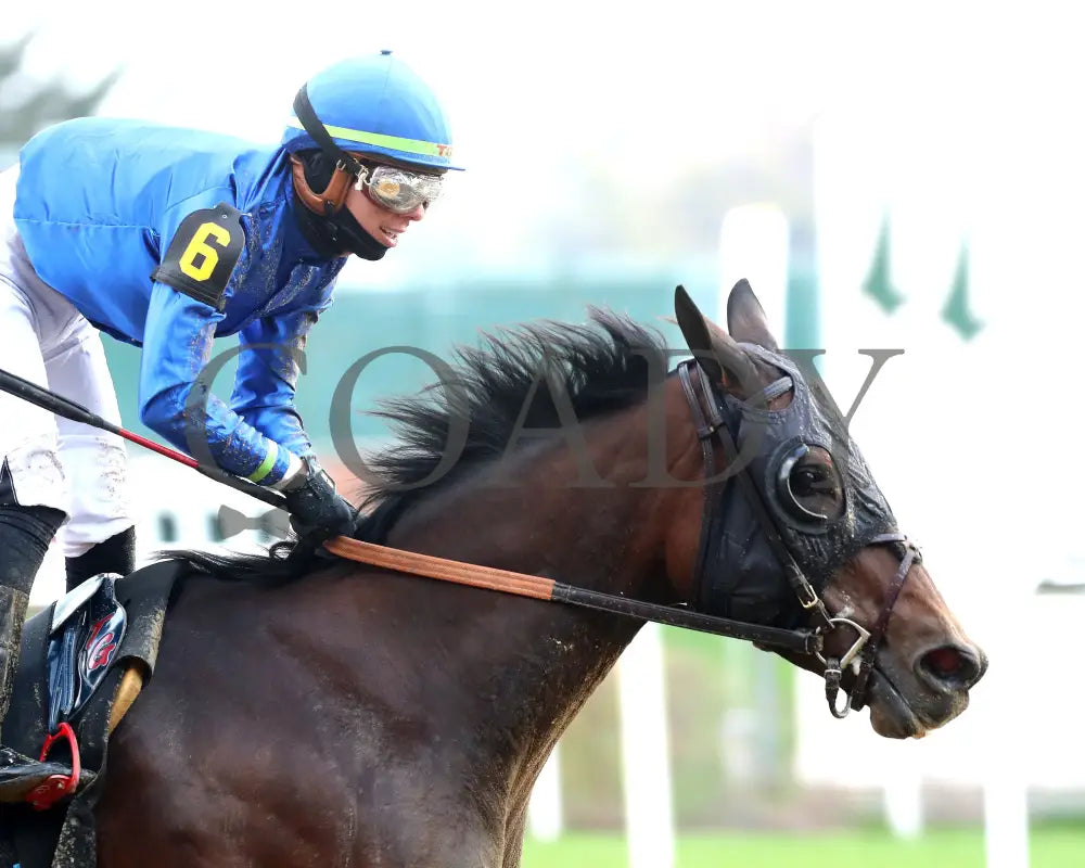 Loved - The Falls City G3 109Th Running 11-28-24 R09 Cd Tight Finish 02 Churchill Downs