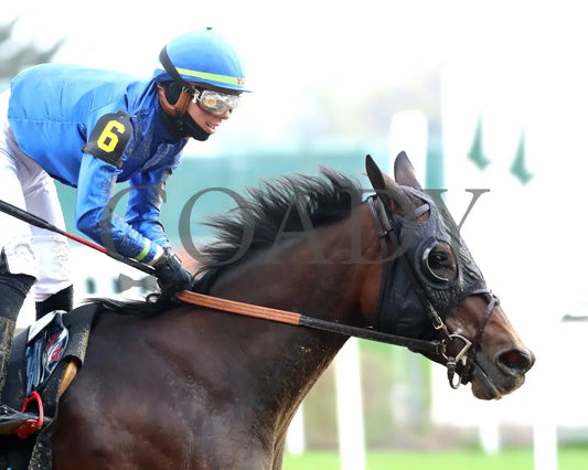 Loved - The Falls City G3 109Th Running 11-28-24 R09 Cd Tight Finish 02 Churchill Downs