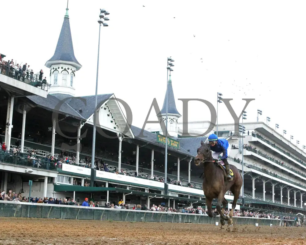 Loved - The Falls City G3 109Th Running 11-28-24 R09 Cd Under Rail 01 Churchill Downs