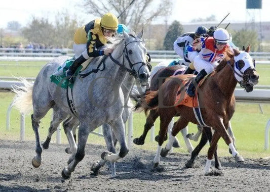 Lovesmelovesmenot - 3 102211 Race 03 Keeneland