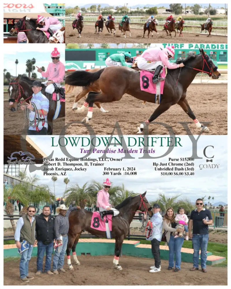 Lowdown Drifter - Turf Paradise Maiden Trials 02-01-24 R02 Tup