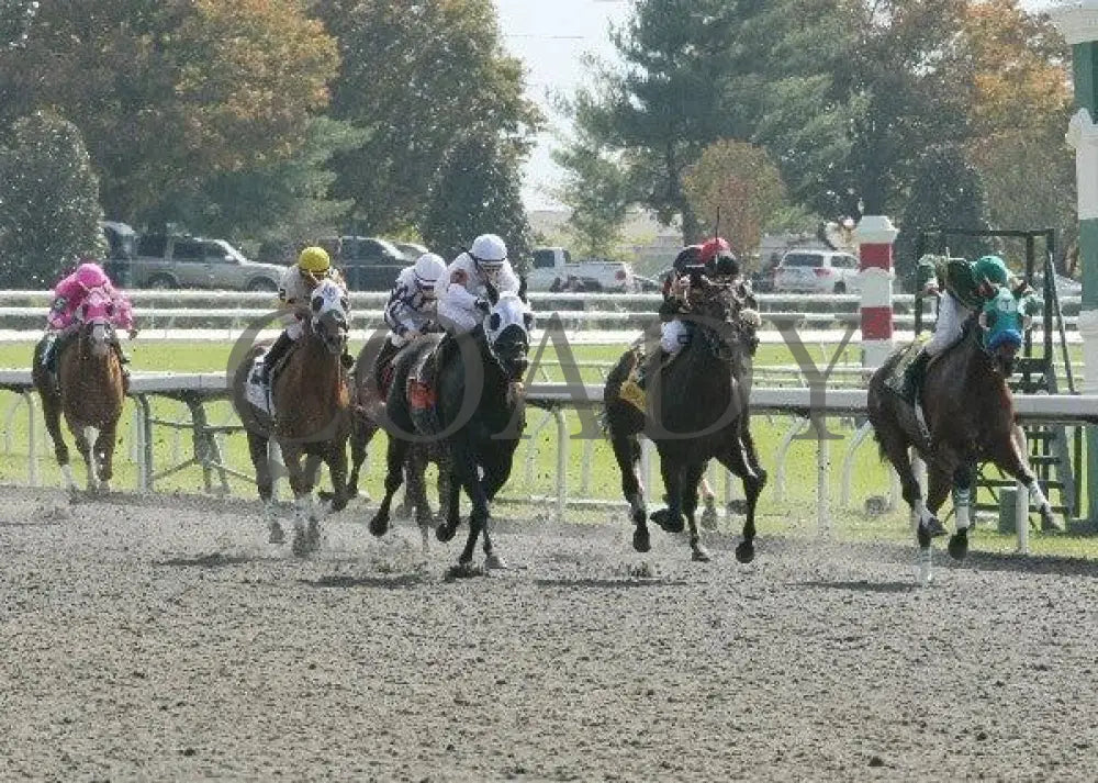 Lucky Dragon - 1 102111 Race 01 Keeneland