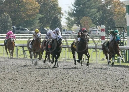Lucky Dragon - 1 102111 Race 01 Keeneland
