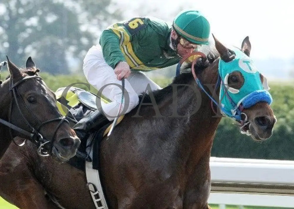 Lucky Dragon - 2 102111 Race 01 Keeneland