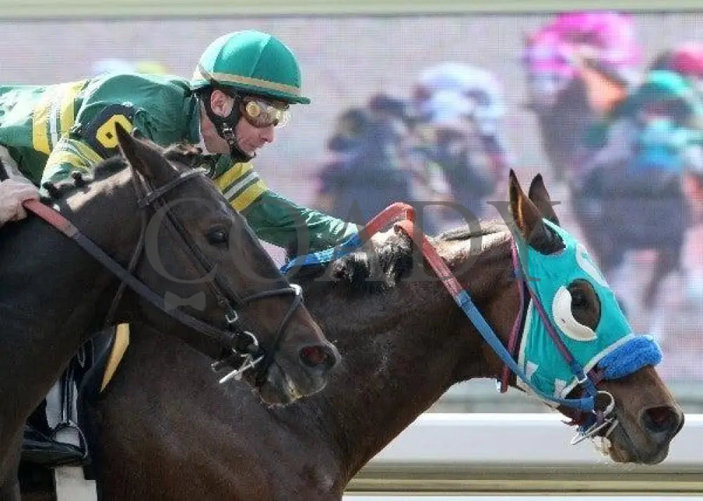 Lucky Dragon - 3 102111 Race 01 Keeneland