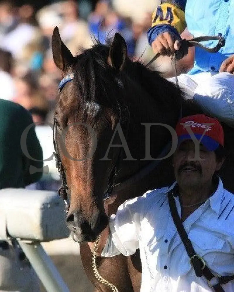 Luke Of York - 1 101511 Race 08 Keeneland