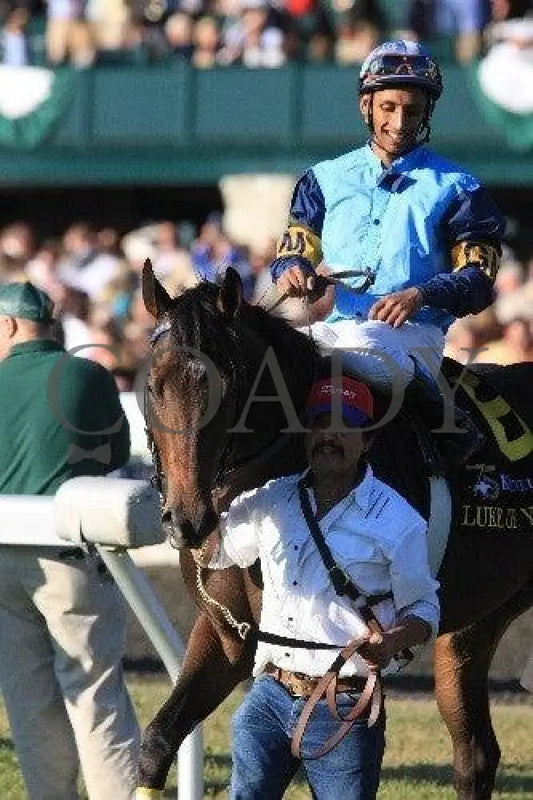 Luke Of York - 2 101511 Race 08 Keeneland