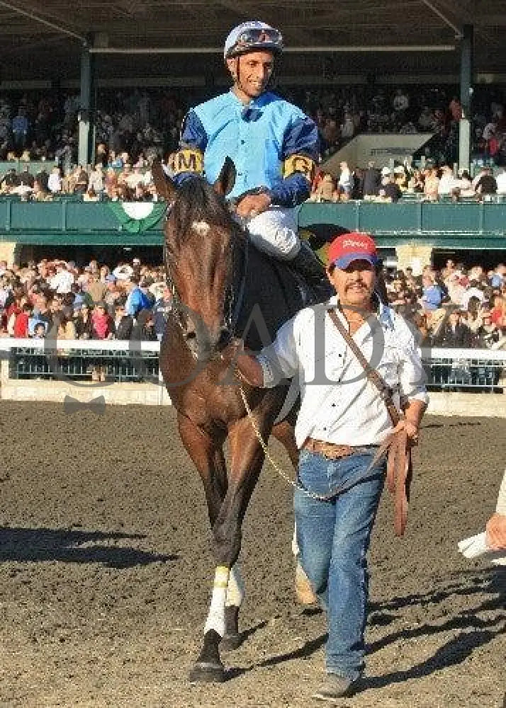 Luke Of York - Return 1 101511 Race 08 Keeneland