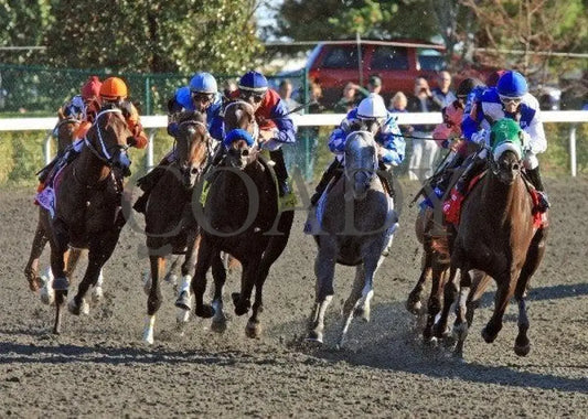 Luke Of York - Turn 101511 Race 08 Keeneland