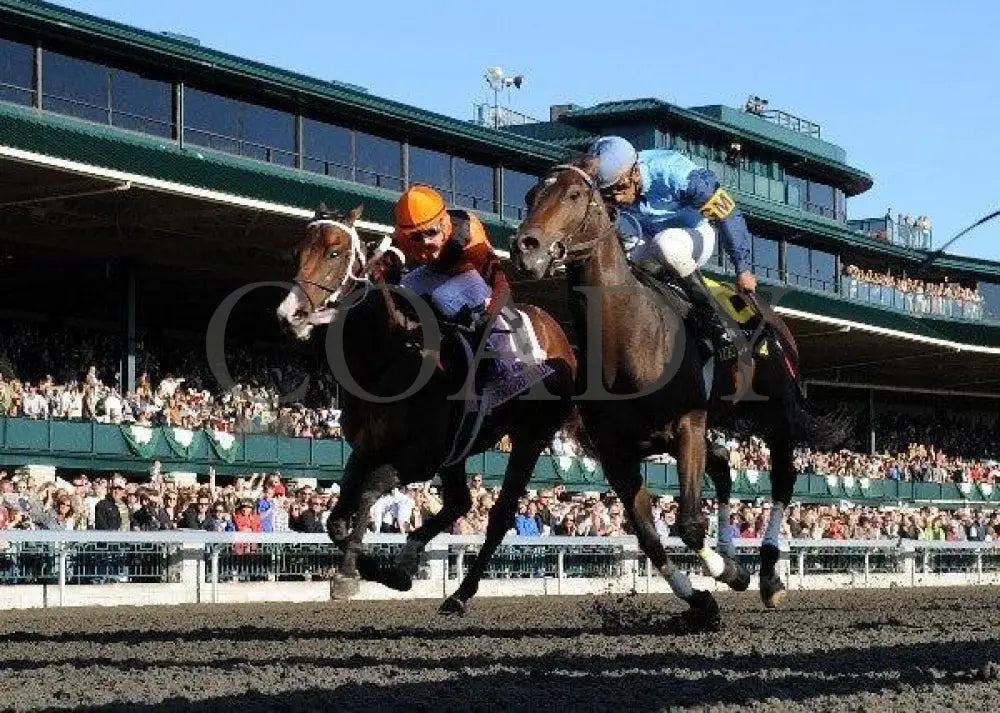 Luke Of York - Under Rail 101511 Race 08 Keeneland