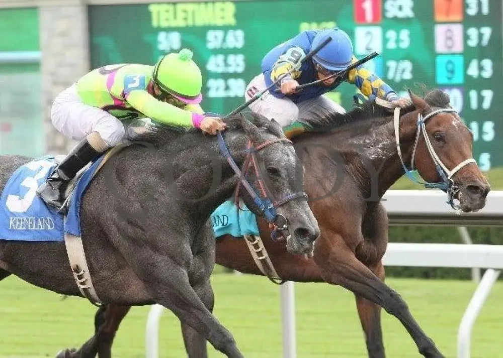 Lulengo Uno - 2 101211 Race 06 Keeneland