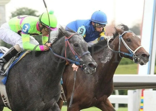 Lulengo Uno - 4 101211 Race 06 Keeneland
