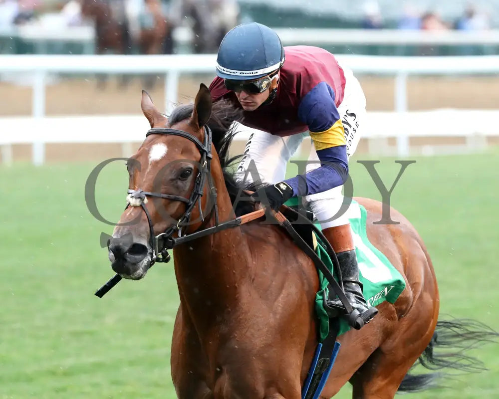 LUSH LIPS - 062825 - Race 08 - CD - Inside Finish 02 Churchill Downs