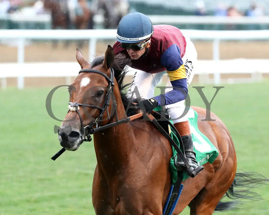 LUSH LIPS - 062825 - Race 08 - CD - Inside Finish 02 Churchill Downs