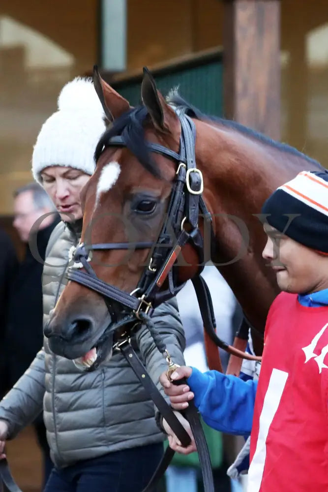 LUSH LIPS - The Mrs. Revere G2 - 11-28-25 - R10 - CD - Paddock 01 - Coady Media - Kurtis Coady Photography