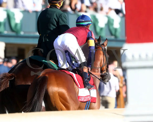 LUSH LIPS - The Queen Elizabeth ll Challenge Cup G1 - 42nd Running - 10-11-25 - R09 - KEE - Come Back 02 Keeneland