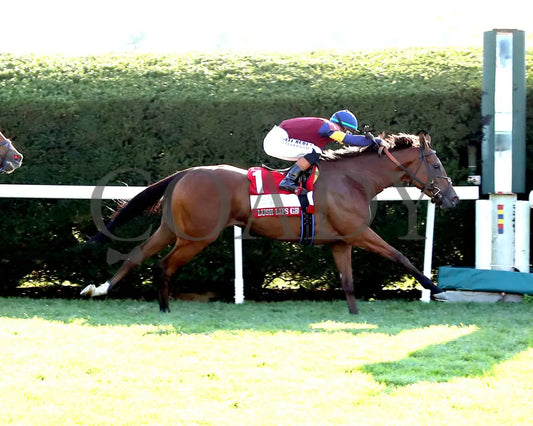 LUSH LIPS - The Queen Elizabeth ll Challenge Cup G1 - 42nd Running - 10-11-25 - R09 - KEE - Finish 01 Keeneland
