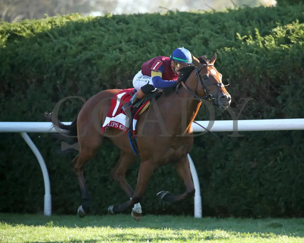 LUSH LIPS - The Queen Elizabeth ll Challenge Cup G1 - 42nd Running - 10-11-25 - R09 - KEE - Finish 02 Keeneland